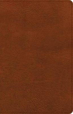 [9781087767741] CSB Thinline Reference Bible Brown I/L