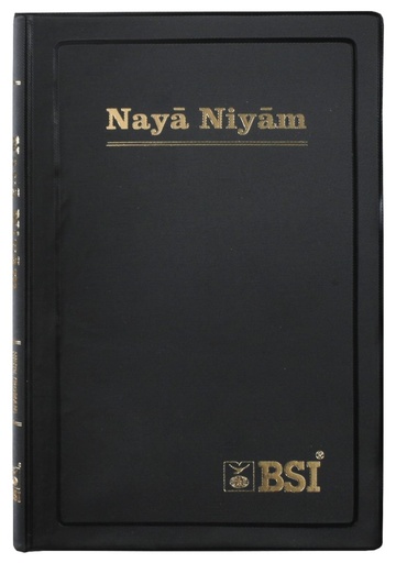 [9788122122985] Hindi Roman Script  New Testament Vinyl (Fiji)