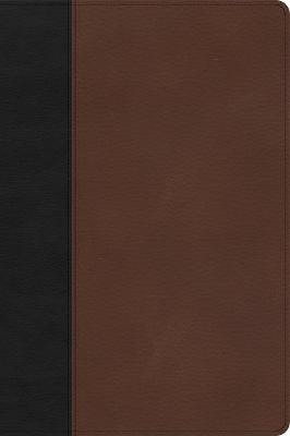 [9781087774404] CSB Large Print Thinline Bible Black/Brown I/L