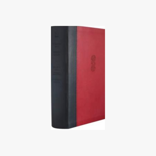 [9781991152879] Maori / NRSV Bilingual Diglot Imitation Leather Red/Black