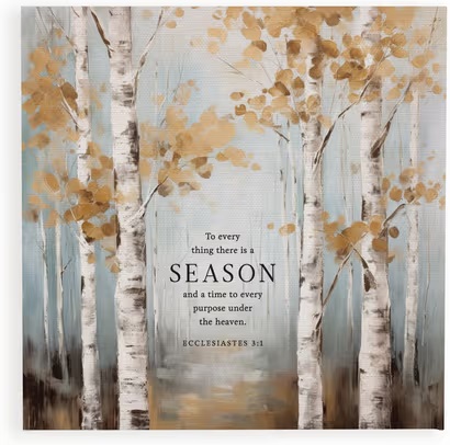 [CVS0532] Canvas To Everything There Is A Season