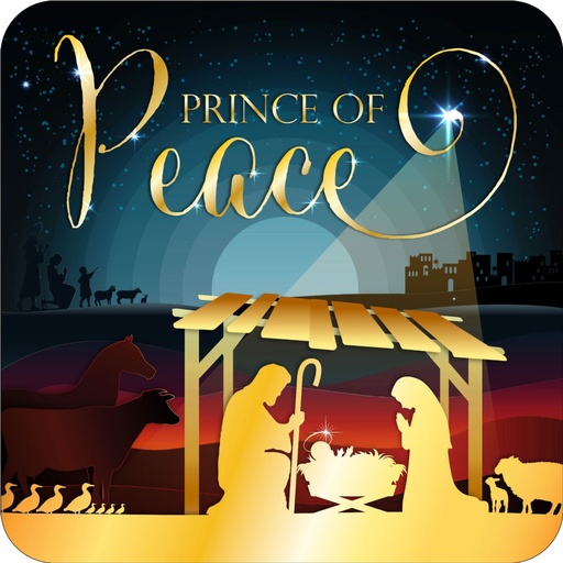 [C272] Christmas Coaster Peace
