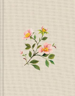 [9798874900267] ESV Single Column Journaling H/C Rosehip (06/25)