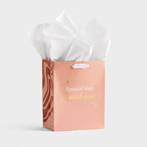 [J9849] Gift Bag Special Day Medium