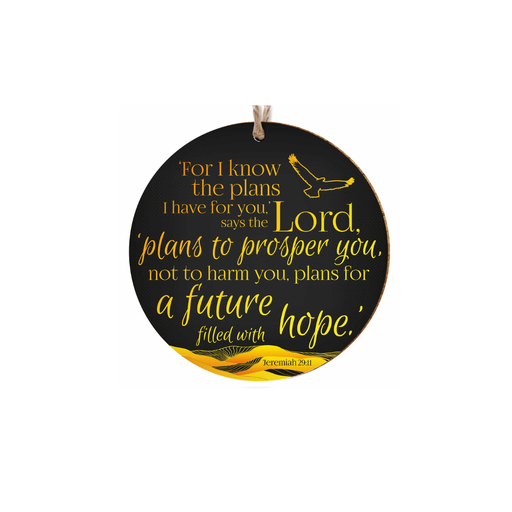[CD67] Hanging Decoration I Know The Plans Black
