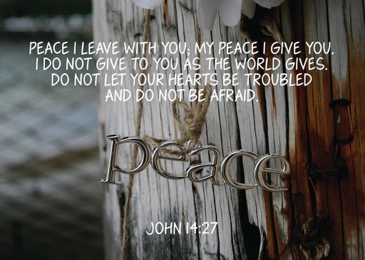 [KIENK0098] PIO Peace I Leave With You 25Pc
