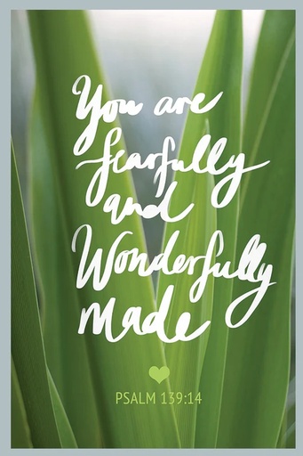 [KIENK0040] PIO You Are Fearfully Made 25Pc