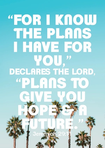 [KIENP0001] Post Lg: For I Know The Plans Palm Tree