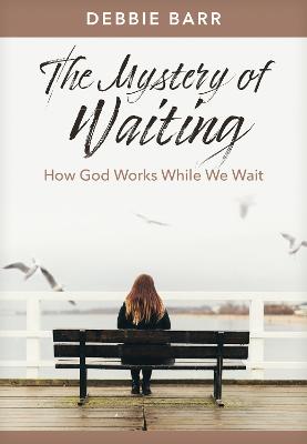 [9781496483614] The Mystery of Waiting: How God Works While We Wait
