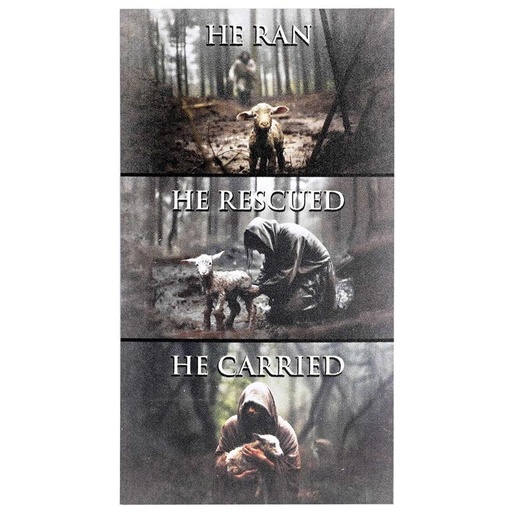 [MAG-1059] Magnet Set Good Shepherd (03/25)