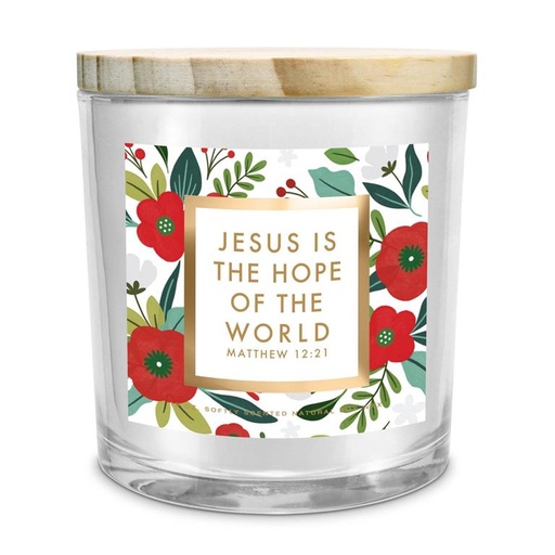 [35051L] Candle Christmas Hope of The World 