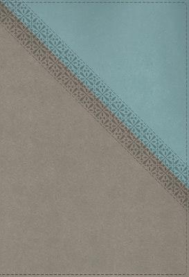 [9780310467717] NIV Application Bible Leathersoft Teal/Grey Red Letter, Comfort Print: Bringing the Ancient Message of the Bible into Your World 